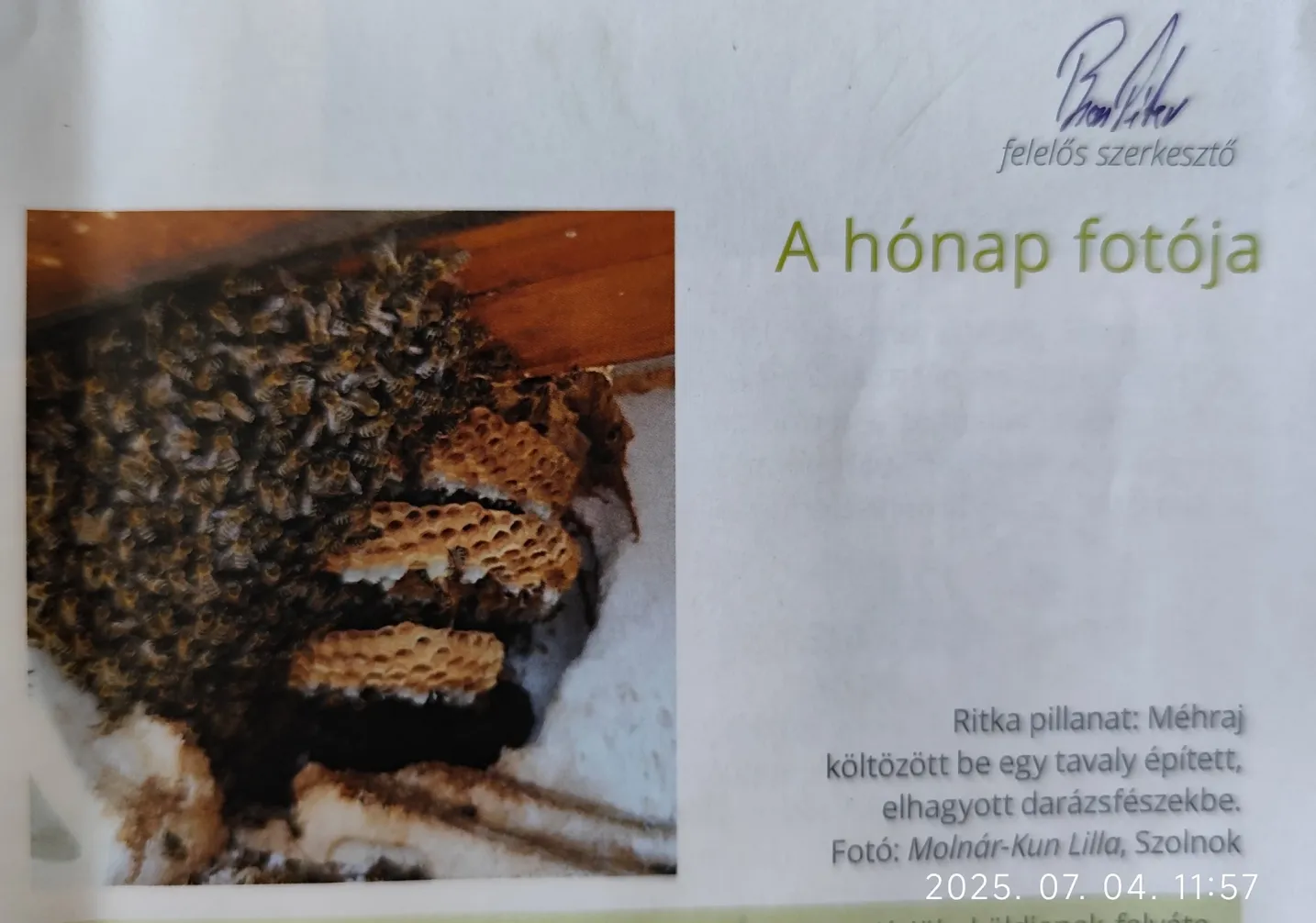 A HÓNAP FOTÓJA!