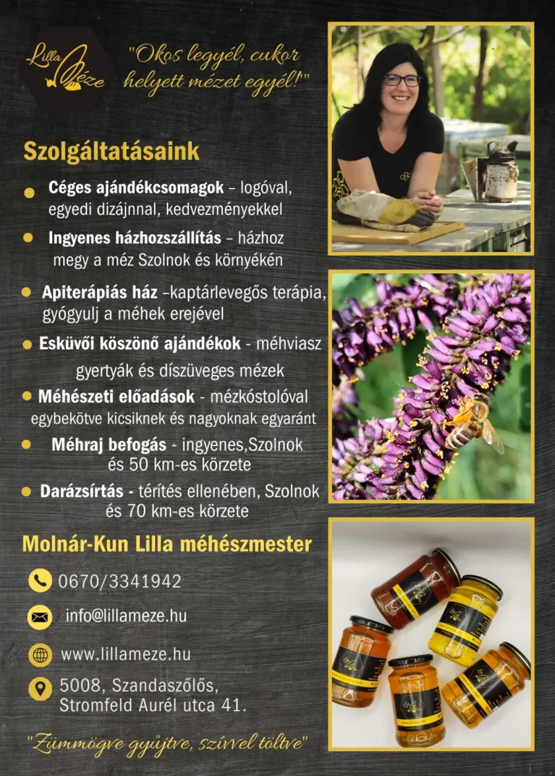 Szolgáltatásaink plakátra kerültek 